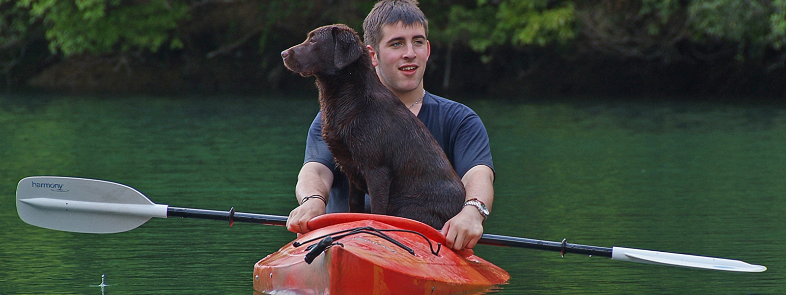 ラベンダーヒルズラブラドールレトリーバー